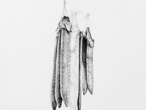 Exposição: “Viagem Pitoresca pelo Mercado Central de BH” de Rita de Souza