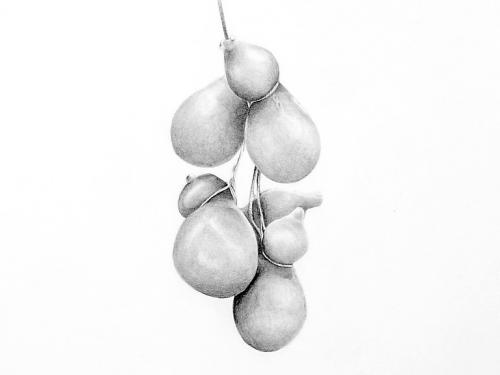 Exposição: “Viagem Pitoresca pelo Mercado Central de BH” de Rita de Souza