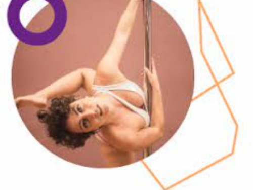 1º Seminário Mineiro de Pole Dance BH 2022 - Online