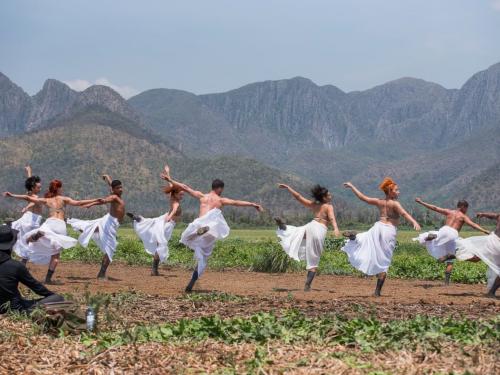 "Fernão Capelo Gaivota" - Orquestra Ouro Preto e Vale Música 