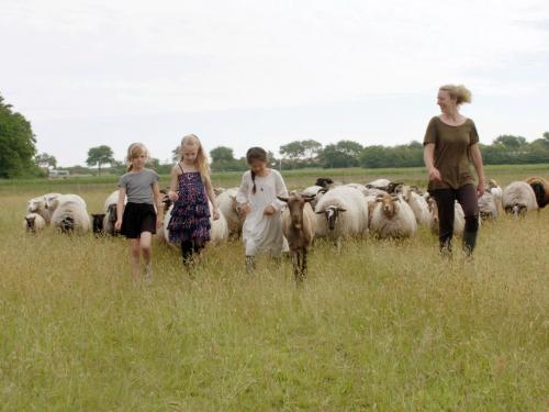 II Festival de Cinema Infantil de Belo Horizonte - Cinema de Brinquedo