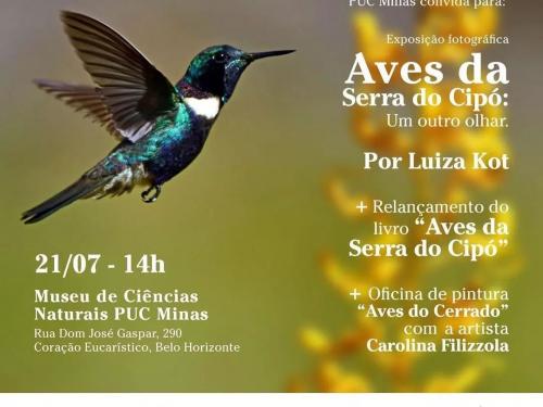 Exposição fotográfica: "Aves da Serra do Cipó: Um outro olhar" | Museu de Ciências Naturais - PUC Minas