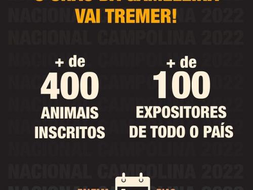 42ª Exposição Nacional do Campolina + BH Horse Show