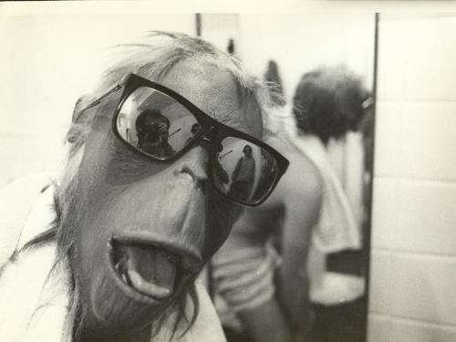 Mostra: “Veredas Antropofágicas: Cinema e Modernismo em Minas Gerais” | Cine Humberto Mauro