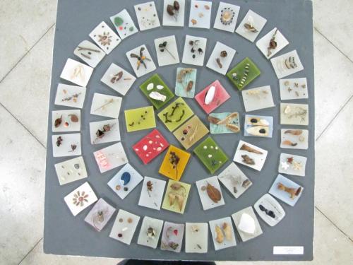  Abertura da exposição