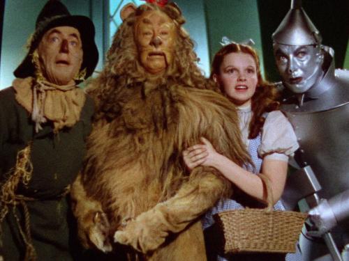 Mostra: "A Estrela Judy"