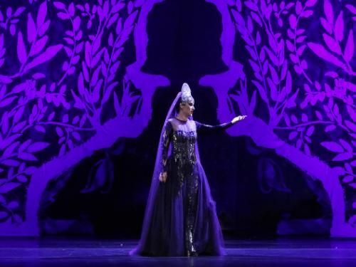 Intervenção: Ópera "Rainha da Noite"