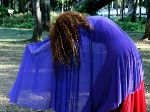 Intervenção "Uma perda súbita de flores”