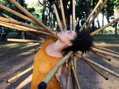 Intervenção "Uma perda súbita de flores”
