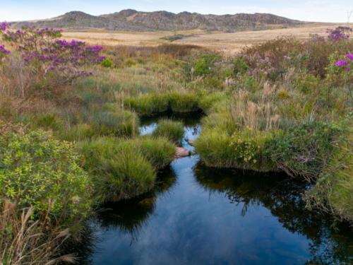 Exposição fotográfica: “Vasto Sertão Gerais, o Cerrado de Minas” | MM Gerdau - Museu das Minas e do Metal