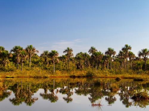 Exposição fotográfica: “Vasto Sertão Gerais, o Cerrado de Minas” | MM Gerdau - Museu das Minas e do Metal