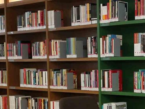 Roda de Leitura: "O que é um livro?", com Pâmela Machado