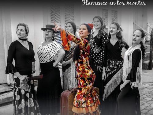 Apresentação de dança: “Flamenco en los Montes" da Cia de Dança Pátio Flamenco