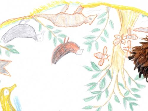 Exposição: “Feito de folhas e penas: Saberes dos matos Pataxó & Assojaba Tupinambá” | Espaço do Conhecimento UFMG