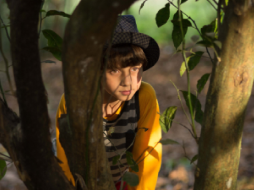 Foto de um menino entre tronco de árvores, como se tivesse se escondendo