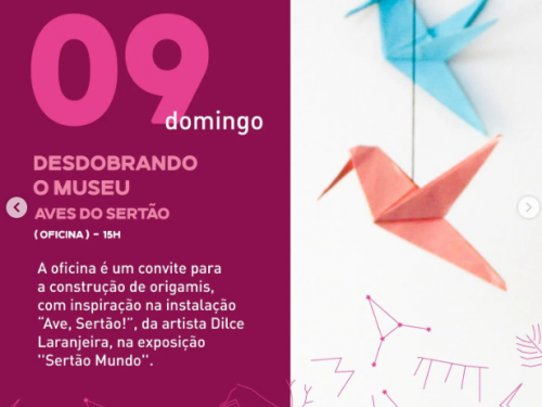 Desdobrando o Museu: Aves do Sertão