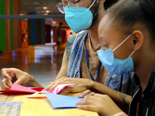 Desdobrando o Museu: Aves do Sertão