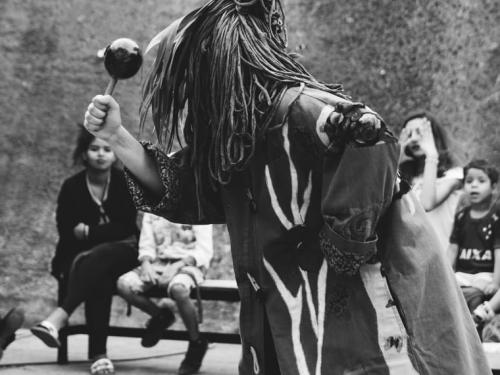 Espetáculo Infantil Lágrimas da Floresta