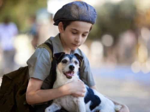 Foto de um menino sentado, segurando um cachorro no colo.