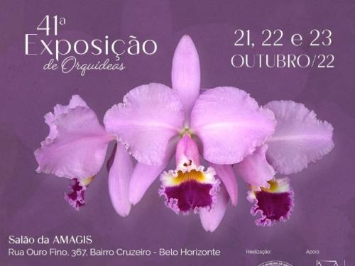 41ª Exposição de Orquídeas