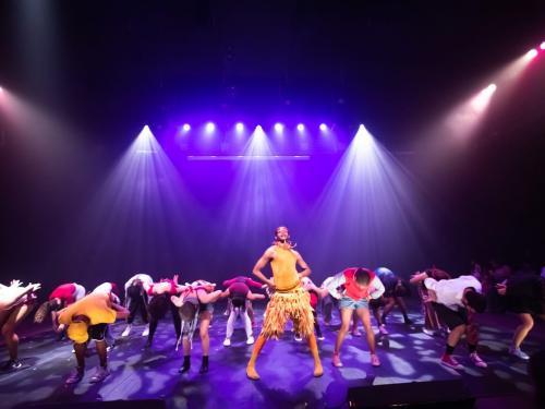Espetáculo Ballet Jovem - O Patinho Feio