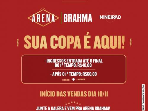 Arena Brahma - Mineirão