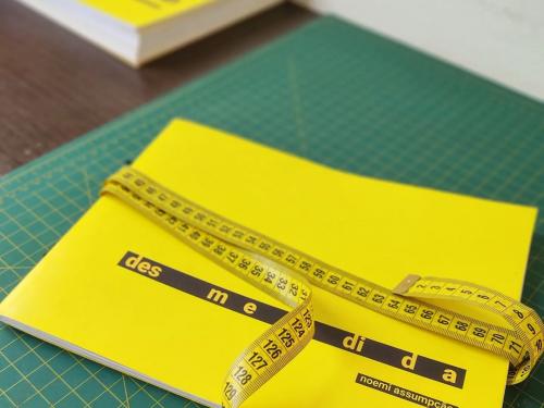 Desmedida Performance + Lançamento de Livro | Memorial Vale