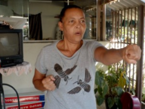 Forrando a Vastidão