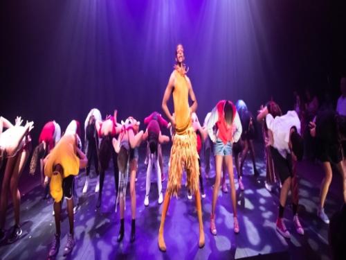 Espetáculo: “O patinho feio” - Ballet Jovem de MG