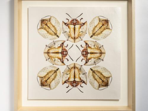  Mostra InsectArts: "Os pequenos Notáveis"