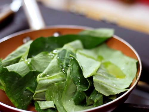 Festival Baderna "Cozinha e Conta: Taioba"