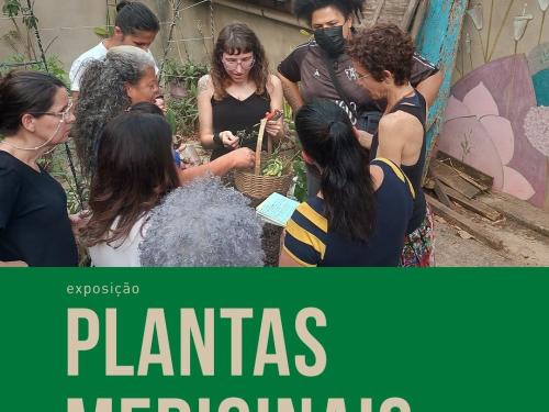 Exposição: Plantas Medicinais | Muquifu - Museus dos Quilombos e Favelas Urbanos
