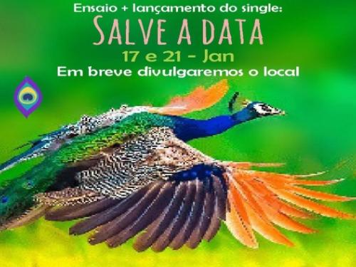 Ensaio: Pena de Pavão de Krishna