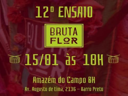 Ensaios: Bloco Bruta Flor