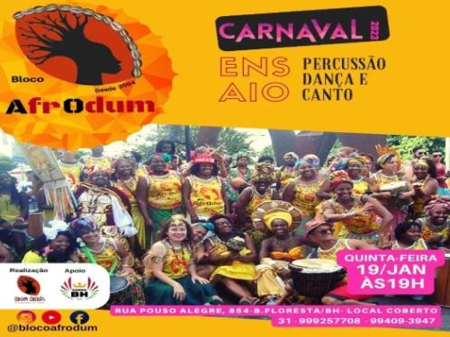 Ensaios: Bloco Afrodum