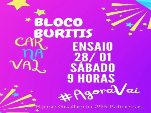 Ensaios: Bloco Buritis de Guimarães Rosa