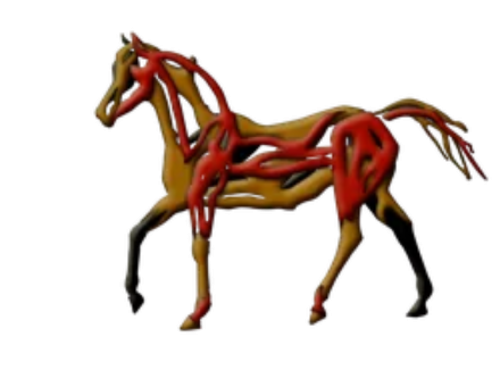 XI Simpósio Internacional do Cavalo Atleta - SIMCAV 2023