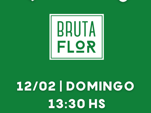 Ensaios: Bloco Bruta Flor
