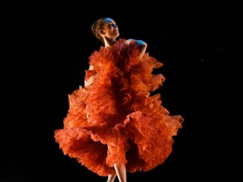 Espetáculo: Viva MOMIX