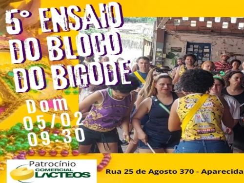 Ensaios: Bloco do Bigode