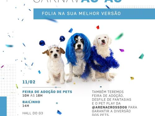 Bailinho de Carnaval Pet