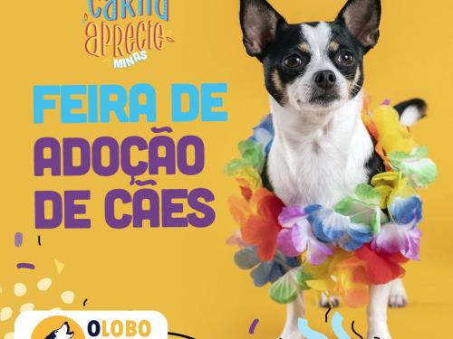 Festival Carna Aprecie