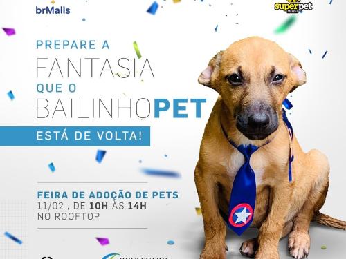 Bailinho de Carnaval Pet