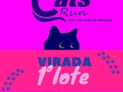 Cats Run