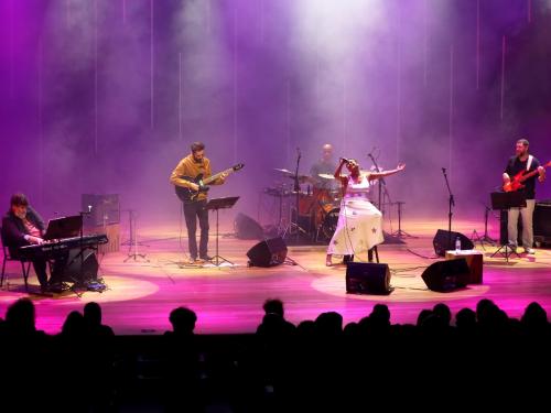 Show: "De coisas que aprendi com Elis"