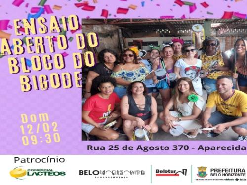 Ensaios: Bloco do Bigode