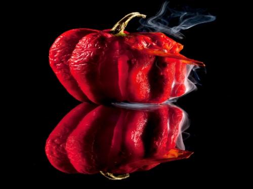 Exposição: Sob a Pele, de Pauline Daniel