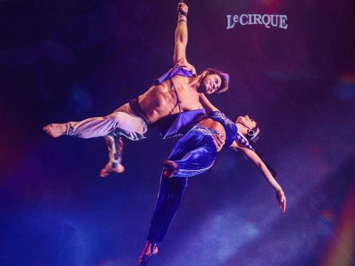 Le Cirque - Shopping Del Rey