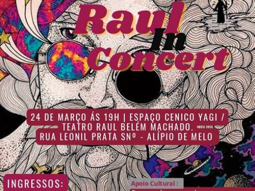 RAUL IN CONCERT - Breno Bartolomeu e Orquestra Camerart.