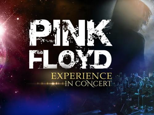 Pink Floyd Experience In Concert